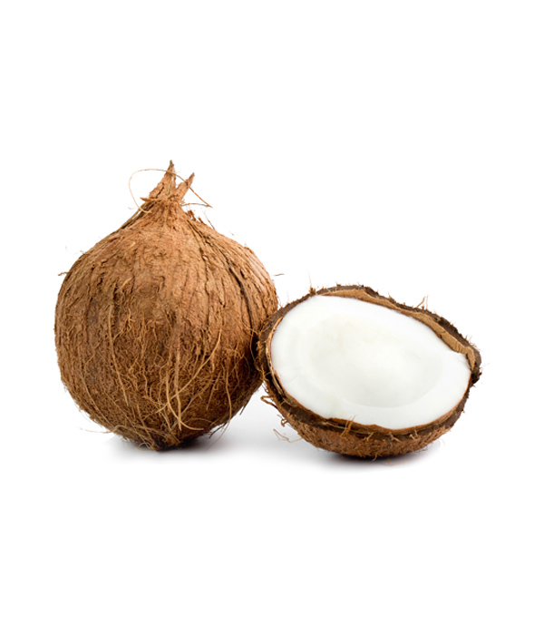 Coconut AP Exporters